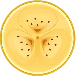 Melon